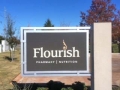 flourish2.jpg